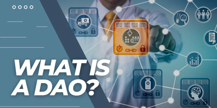 What Are DAOs?